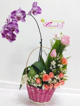 Planta de orquídea arreglada con rosas