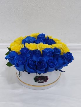Blue and Yellow Roses
