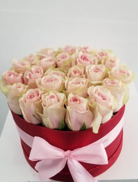 BOX Roses